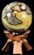 Polished Septarian Sphere - With Stand #43650-1